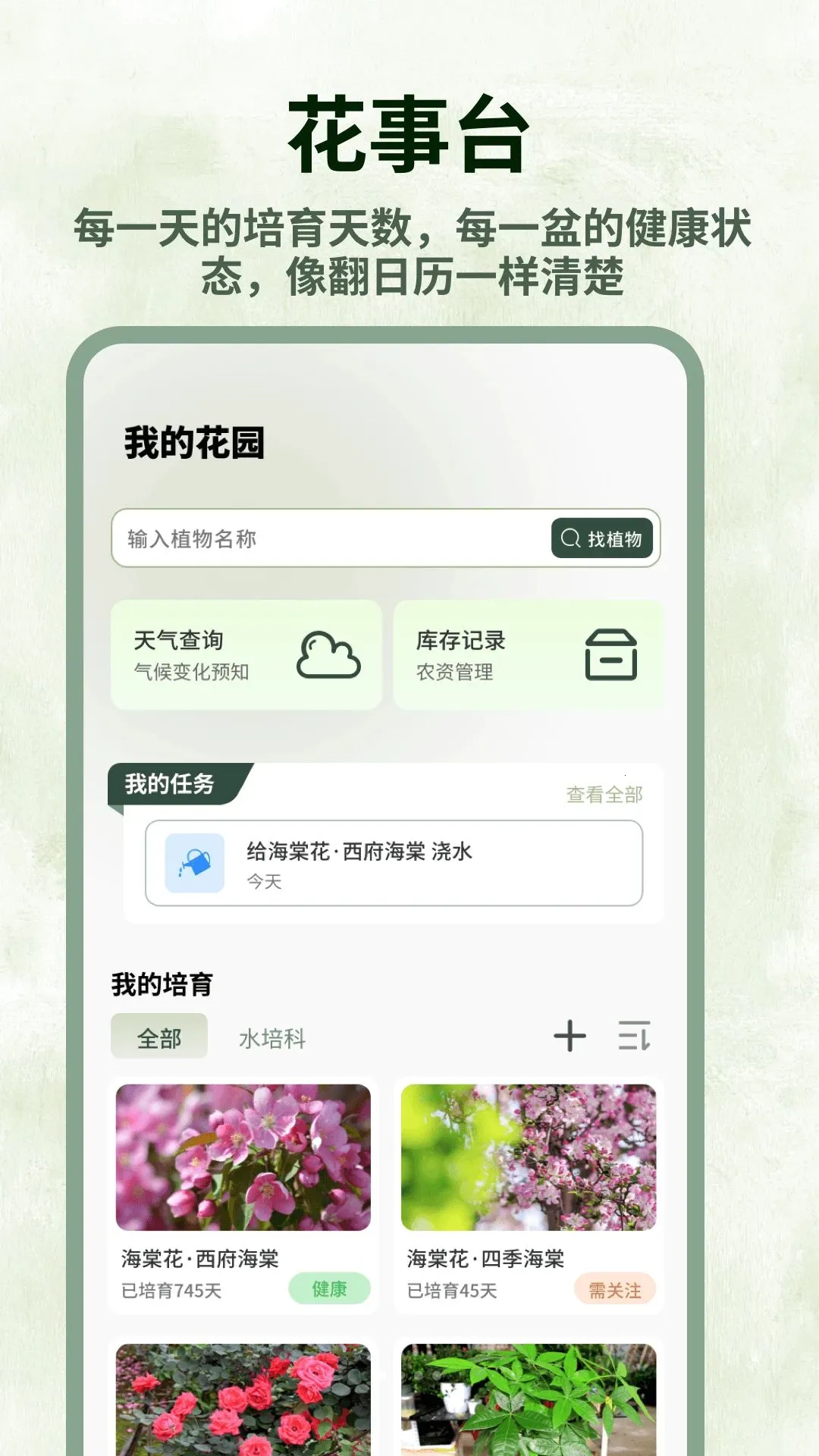 ����ֲ��������������2026���°汾v1.0.5 ��׿��