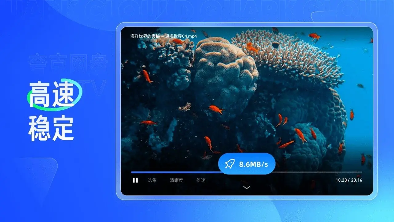 �������tv��2026���°汾