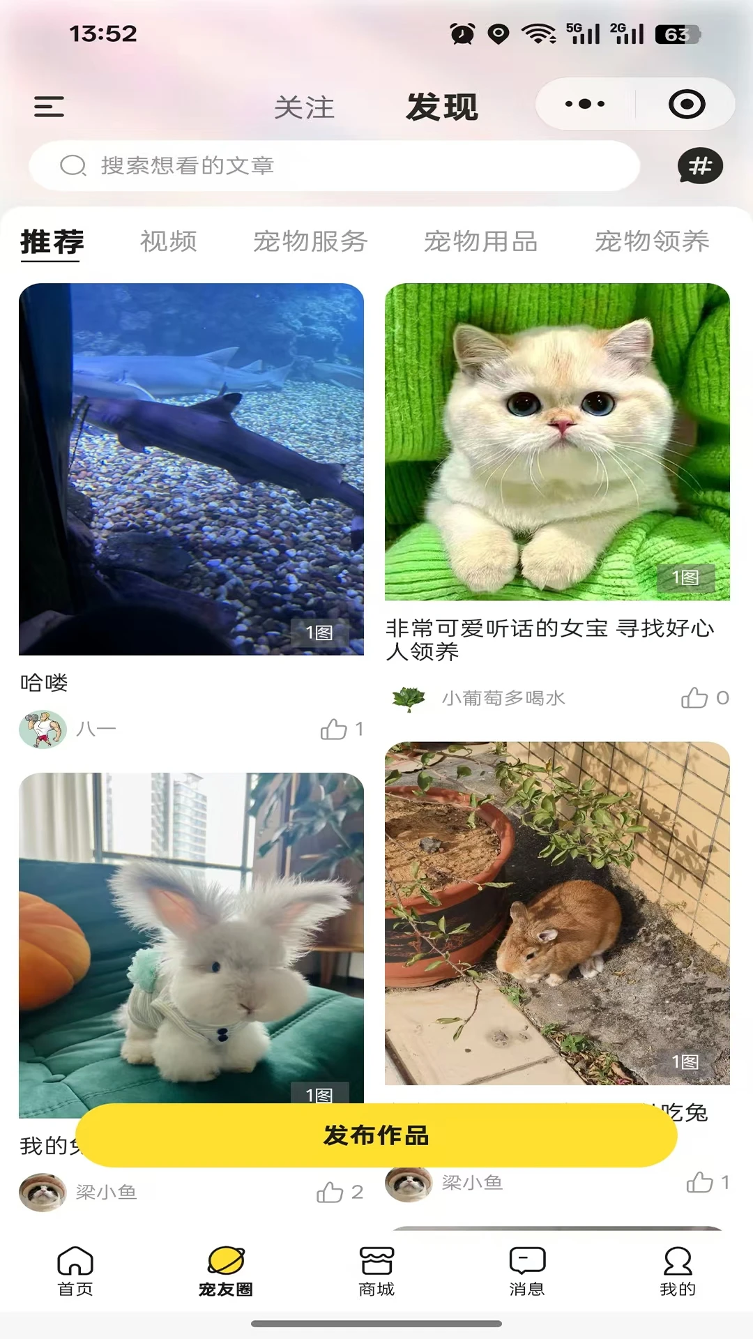 执宠乐2026最新版本 执宠乐2026最新版本