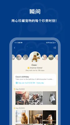PawView2026最新版本 PawView2026最新版本