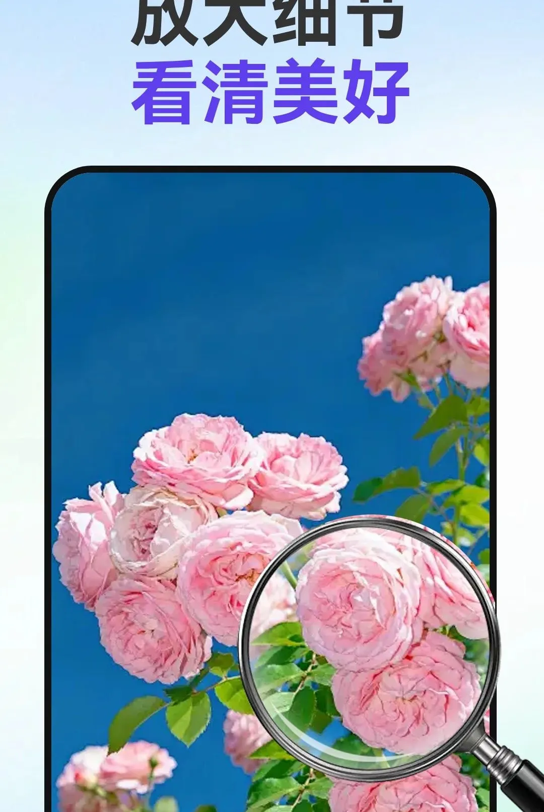 С�ַŴ�����2026���°汾v1.0.0 �ֻ���