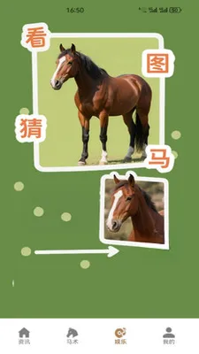 ��������2026���°汾