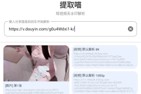提取喵(视频解析工具) 提取喵(视频解析工具)