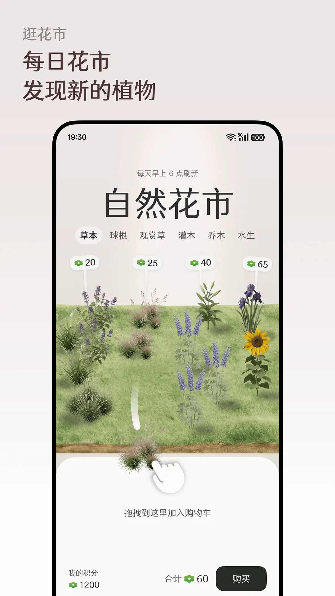 ����Floravale2026�ٷ����°汾v1.0.12 ��׿��
