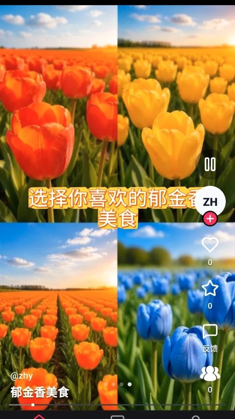 ����ʰȤ(Ȥζ����Ƶ)v1.0.0 �ֻ���